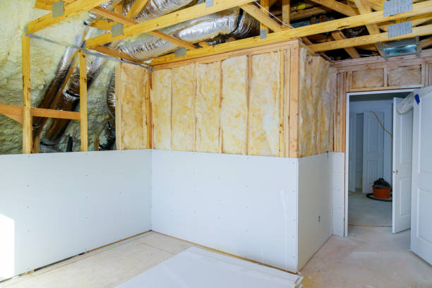 Best Wall Insulation Contractor  in Dudley, NC