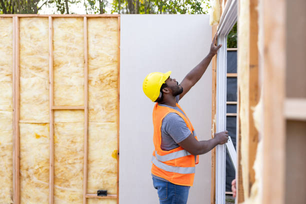 Best Professional Insulation Contractor  in Dudley, NC