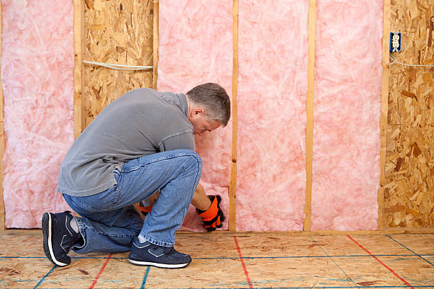 Best Affordable Insulation Services  in Dudley, NC