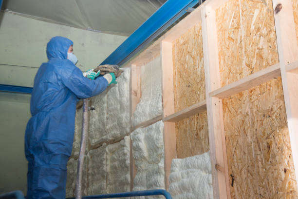 Best Local Insulation Services  in Dudley, NC