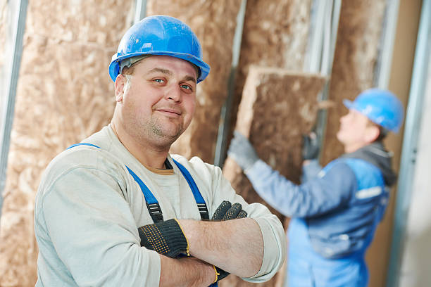 Best Blown-in Insulation  in Dudley, NC