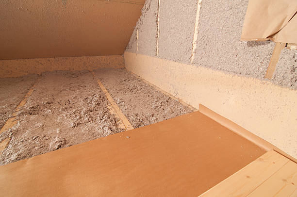 Best Home Insulation Services  in Dudley, NC