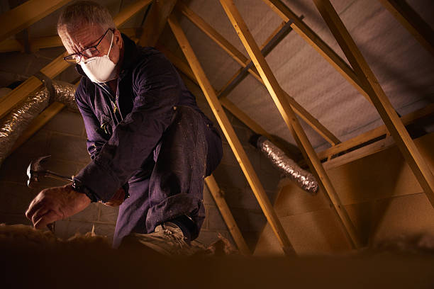 Best Attic Insulation Installation  in Dudley, NC
