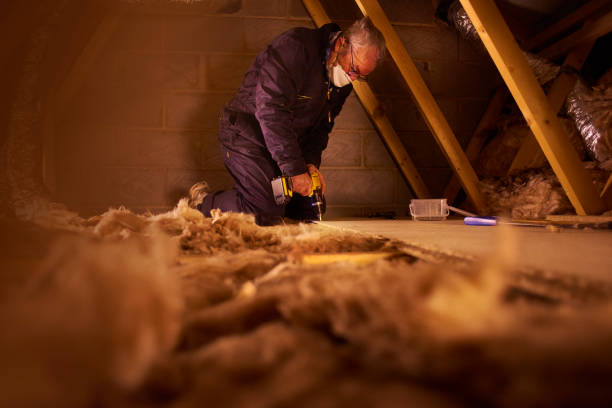 Best Insulation Replacement Services  in Dudley, NC